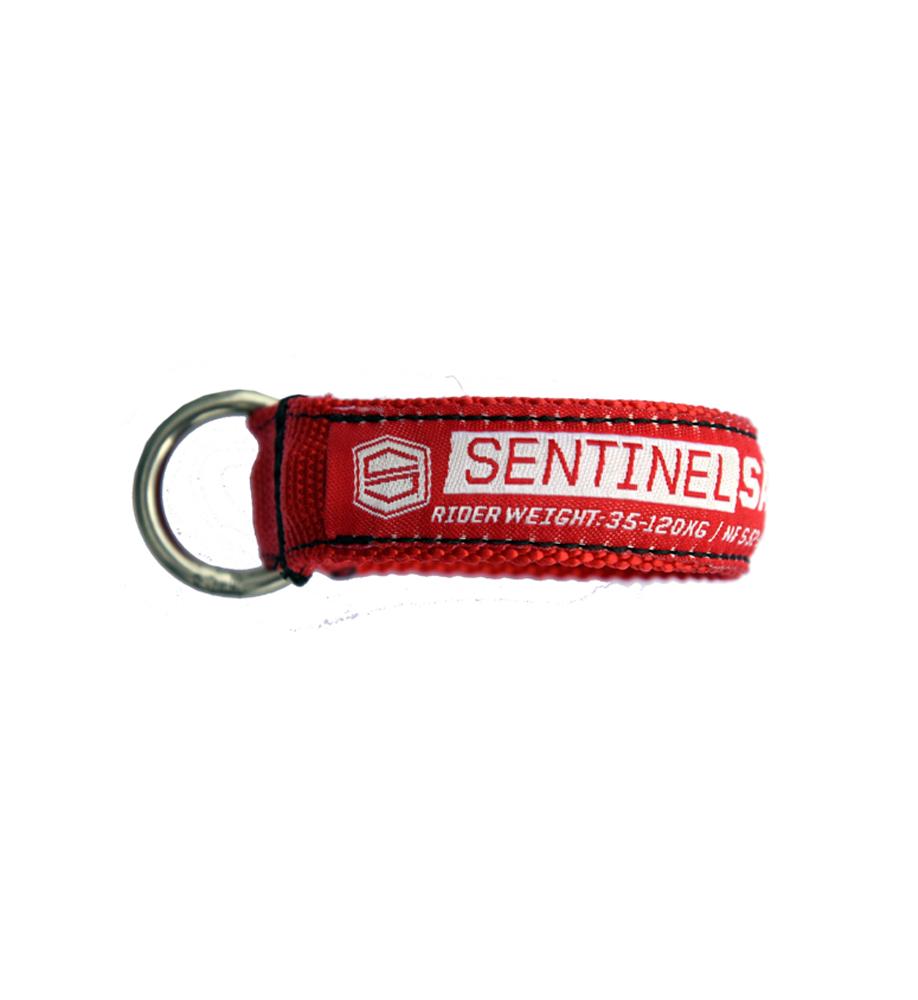 2019 Sentinel CSS Safety Loop